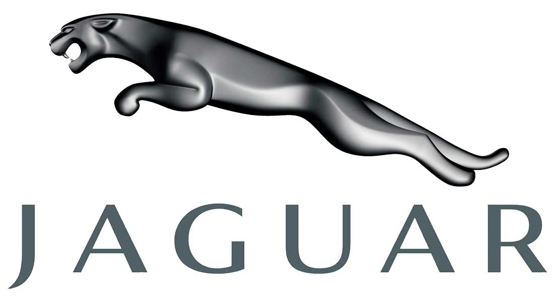Чип тюнинг Jaguar, увеличение мощности Ягуар | Днепр.