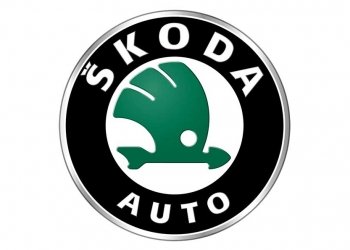 Чип тюнинг Skoda, увеличение мощности Шкода | Днепр.
