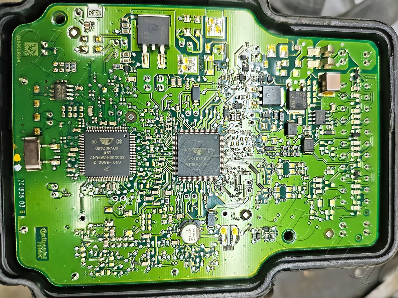 IMG 20260311 104516